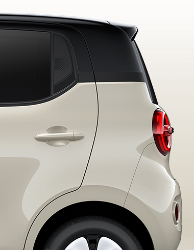 2 Tone Body Color
